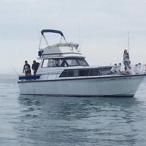 Meet your Posher, Robert